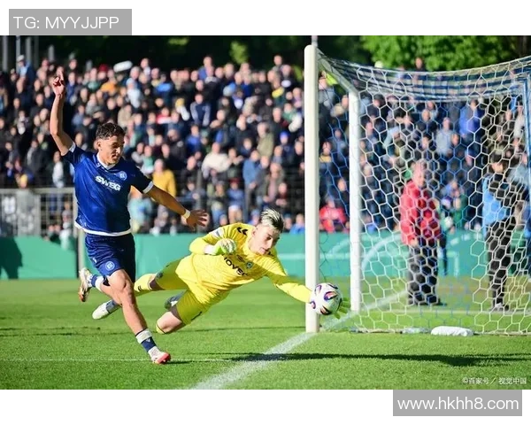 布兰与克里斯蒂安松010比赛结果分析及未来展望